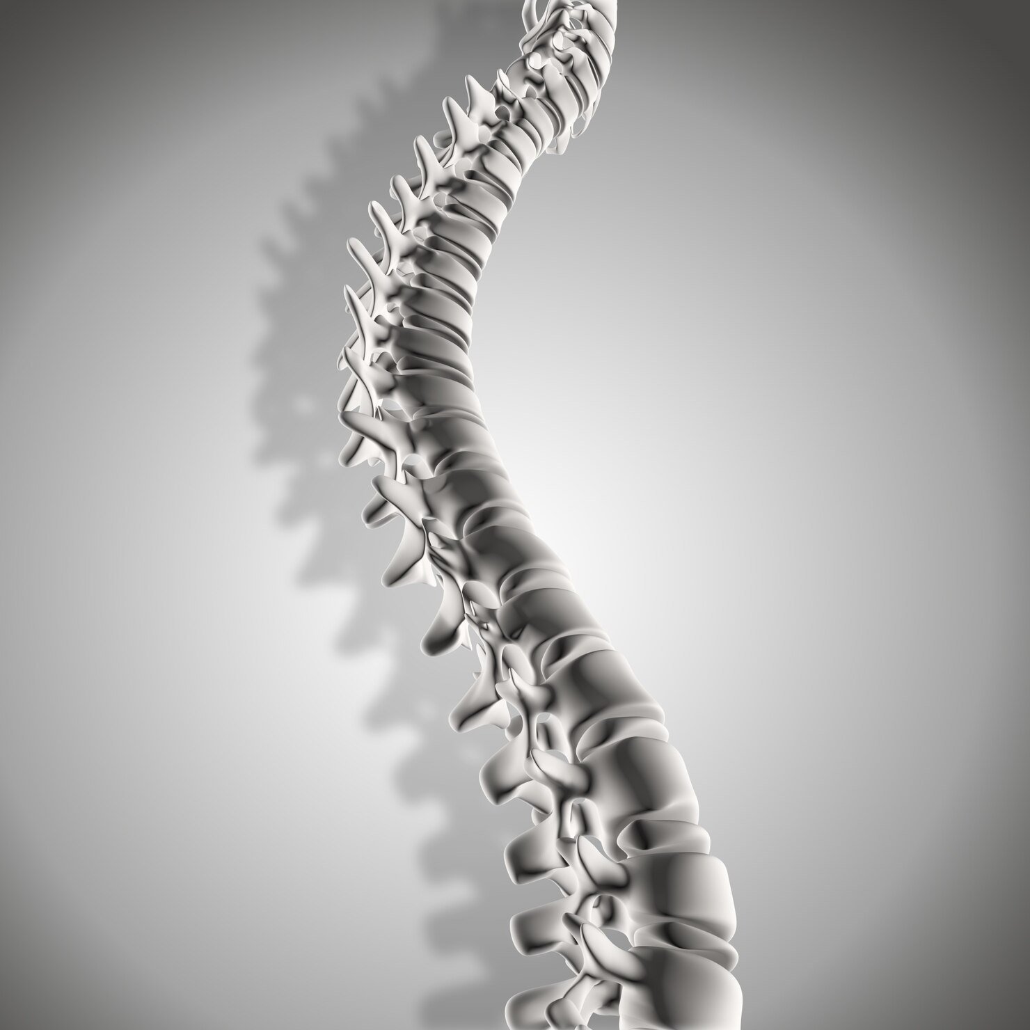 Minimally Invasive Spine Procedures